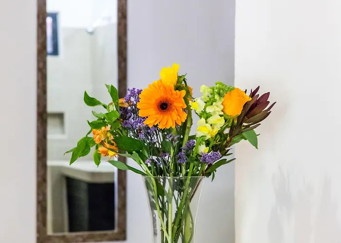 Moonshine Hotel Playa del Carmen