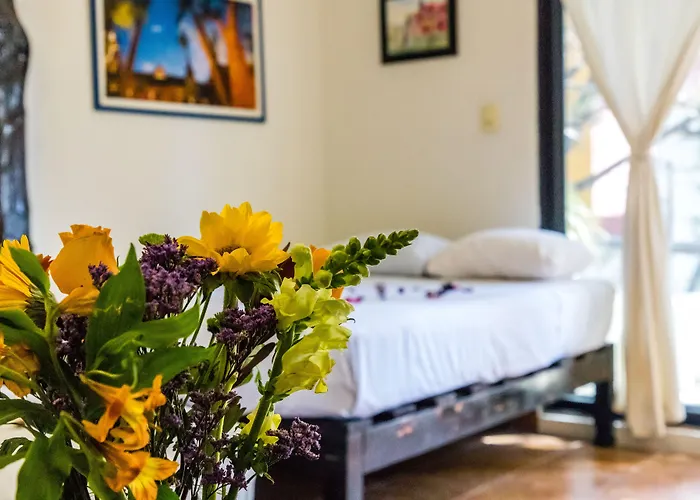 Hotel Moonshine Playa del Carmen