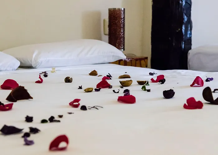 Moonshine Hotel 3*