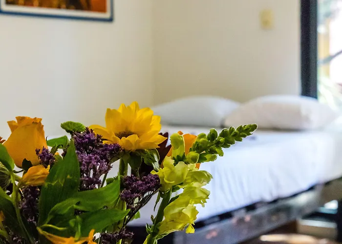 Hotel Moonshine Playa del Carmen