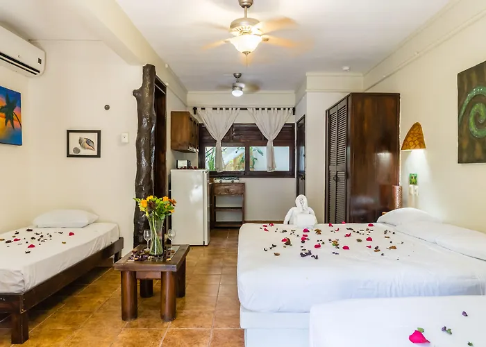 Moonshine Hotel Playa del Carmen