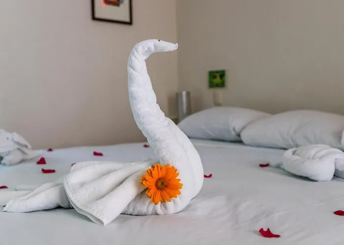 Moonshine Hotel Playa del Carmen